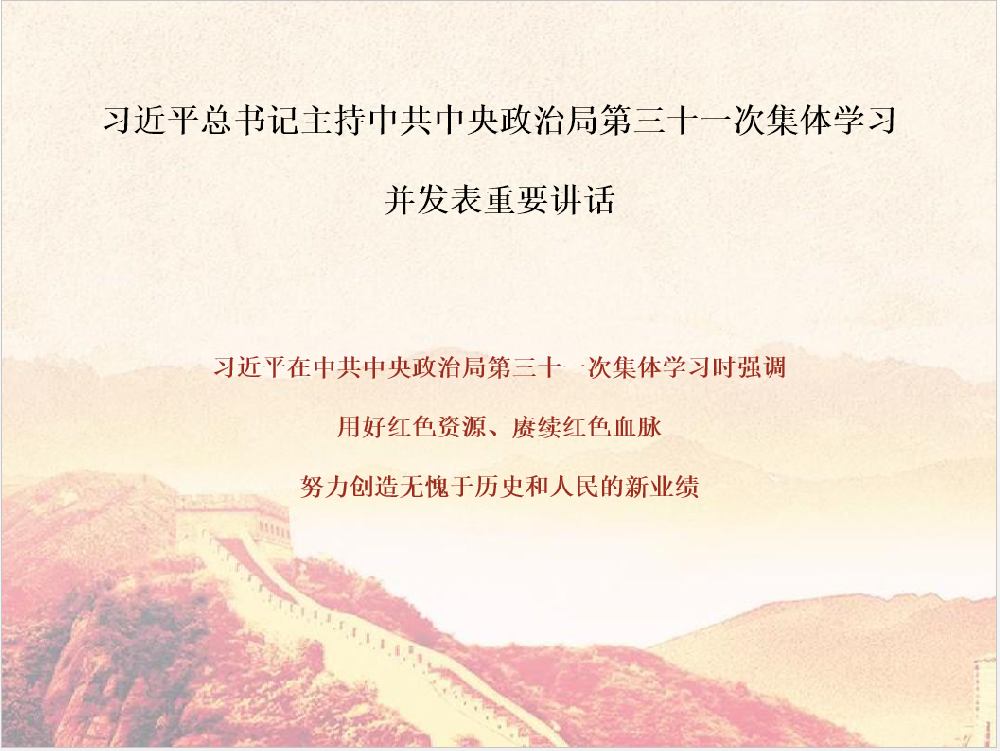 学习贯彻习近平总书记重要讲话精神